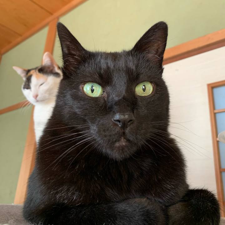 D8803fd1 e324 4298 bc3e 60d5f718951b 1587085311589