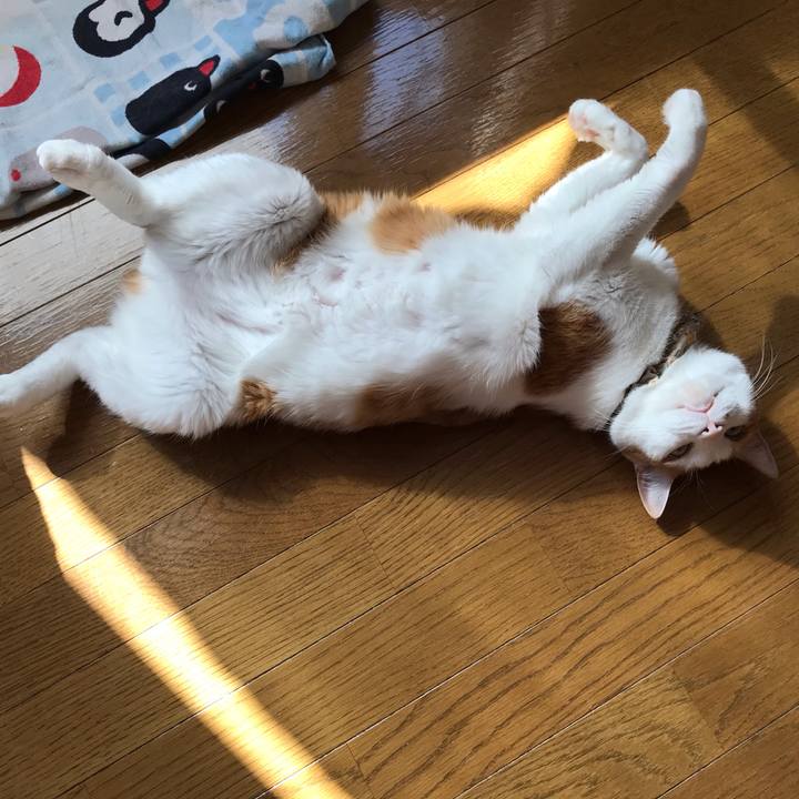 D88072d8 cd35 4b73 9e13 3340c2a5b9a1 1618521892166