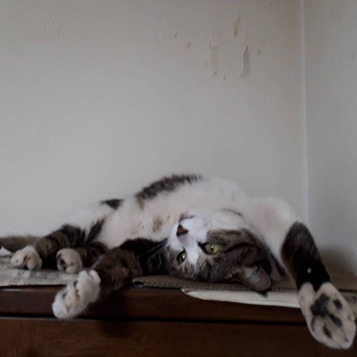 D8808eae 2473 4402 9ebc 8ee0171442c5 1526470484749