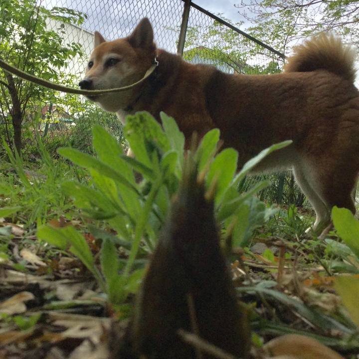 D880ab6d fd32 42f8 baeb a3835106fac6 1617682490273