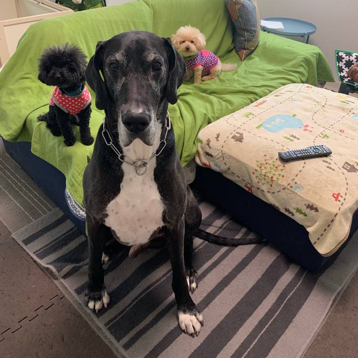 D880cc5b 2f5e 4f81 b451 89b63195aff3 1556059195766