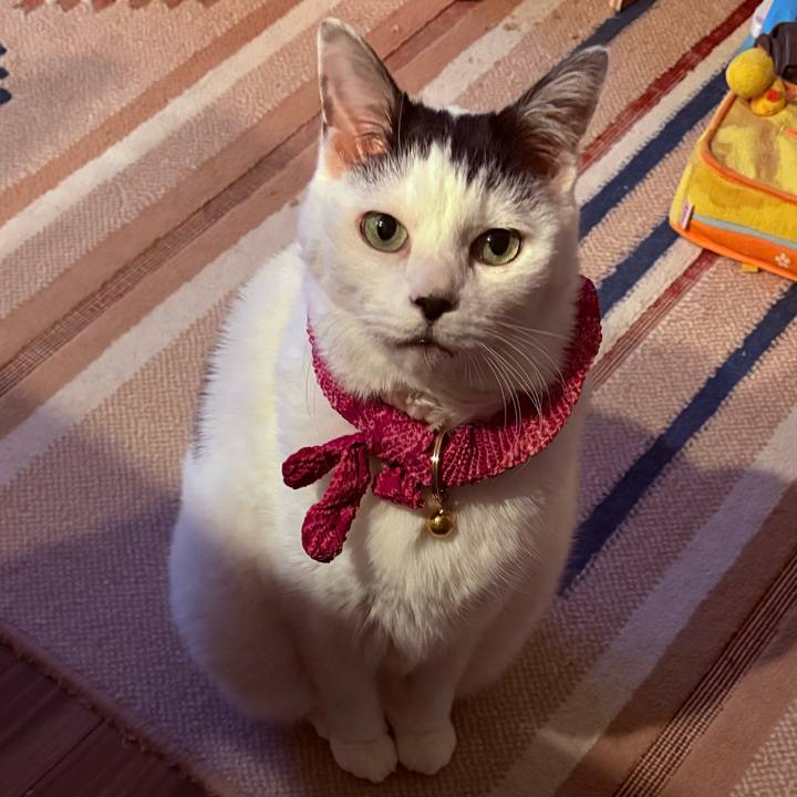 D880d3e5 279e 48f1 b185 560bea48df56 1769988826307