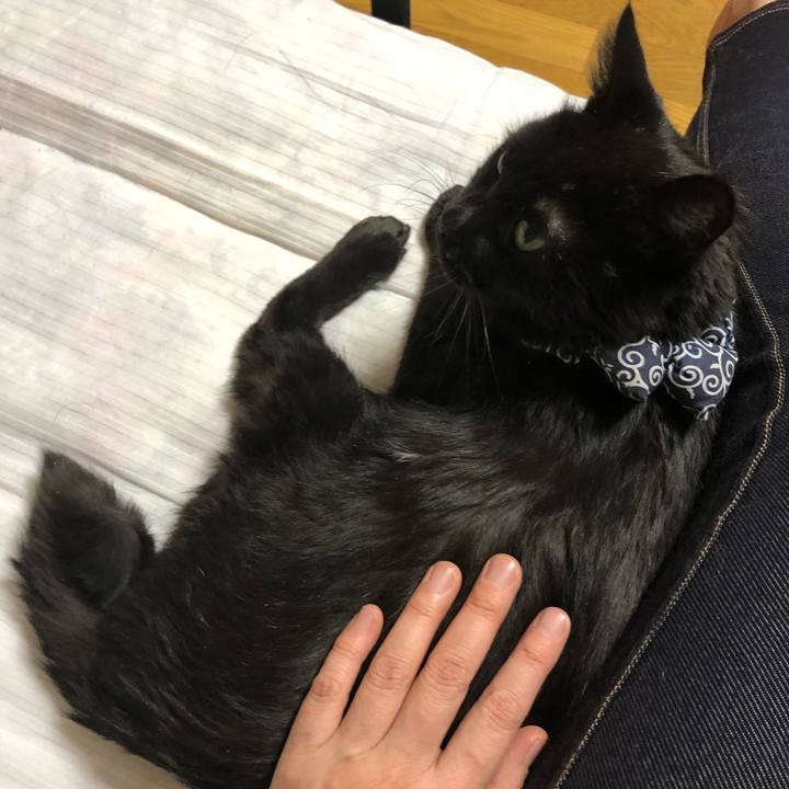 D880f5f3 31d5 4e5e 8520 d8f712f53815 1582023915496