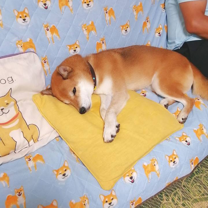 D8815ea8 cf48 400d 9345 229ce1c58574 1662642178589