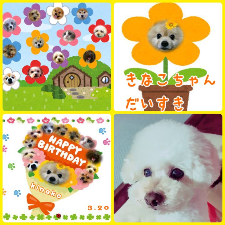 D8815eaa 2216 4b70 8105 0756a0c4c53f 1521500249848