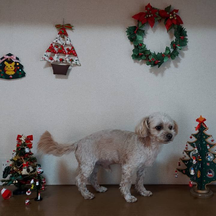 D8817660 6237 4ead bde5 f0499c0ff374 1640484751434