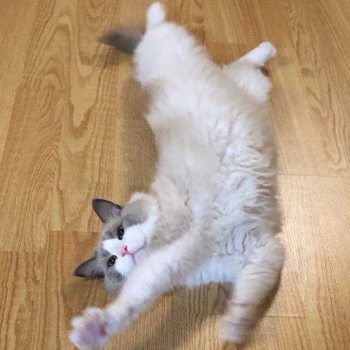 D8818f38 a2be 4eaa 8c88 421b42f5b56a 1599809715460