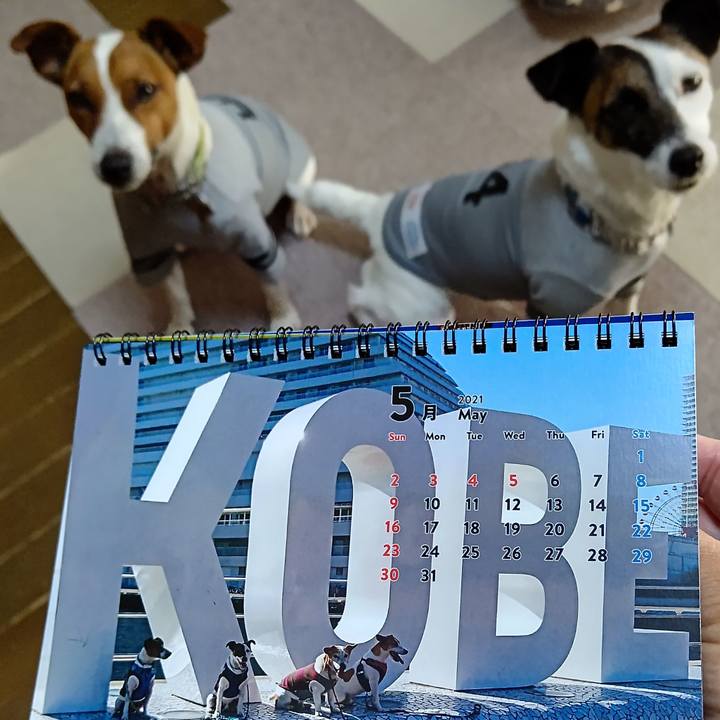 D881e260 c1d7 4d59 b66f fa59543cc066 1619827208461