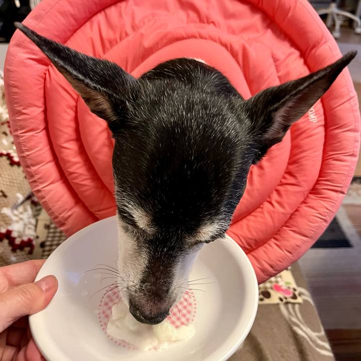 D88213c5 6b96 4f25 b968 f583b6a8b82d 1641337133856