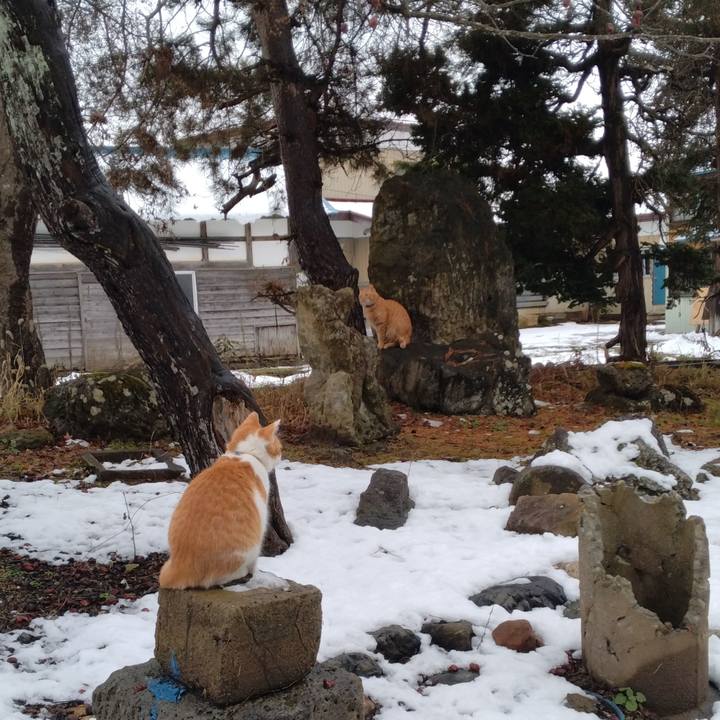 D8821c01 efd0 4700 aebb 56479796da6d 1734069523572