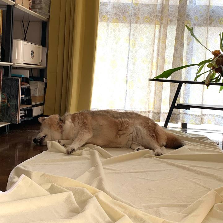 D8822661 5460 4ae1 93ad f7bb07b144a4 1655622380802