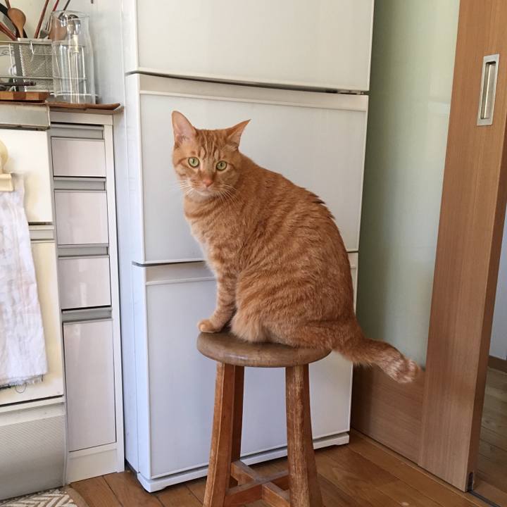 D8822772 5f0f 41d1 9f2b 1e269d96fec6 1545967634334