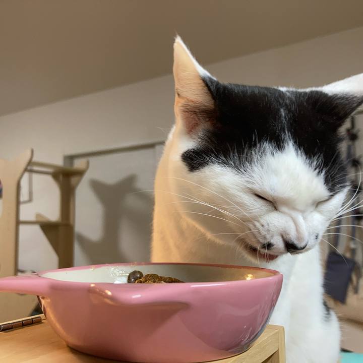 D88230c9 f262 40b6 8481 af01c32032b6 1773349022000