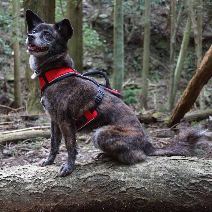 D8825242 f4cf 4bf2 af79 f2c6eae848a3 1601768482661