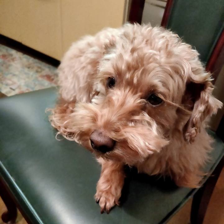 D8826382 723b 407f 9183 1ad3039edd28 1579210954538