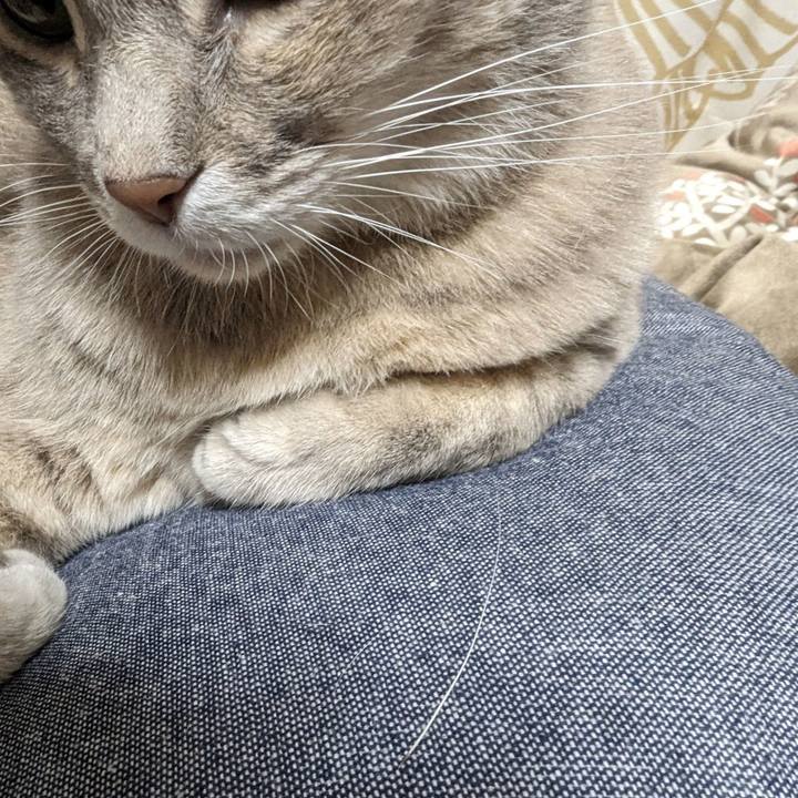 D8826428 febb 4c87 8efd 659e361c113b 1707714703674