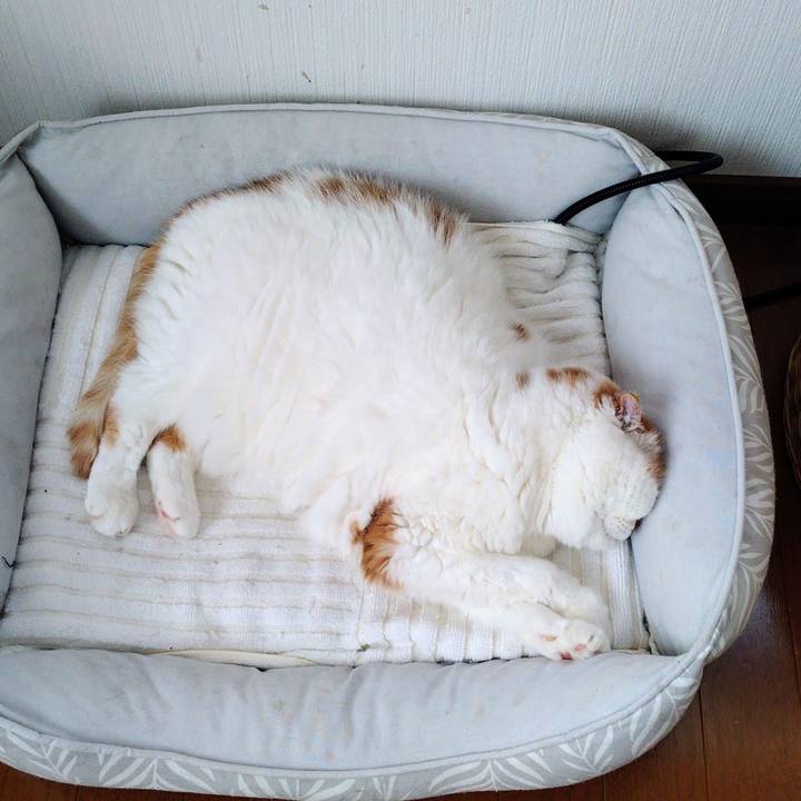 D8829ab0 5107 4c47 b430 080a002ffdae 1761527730705