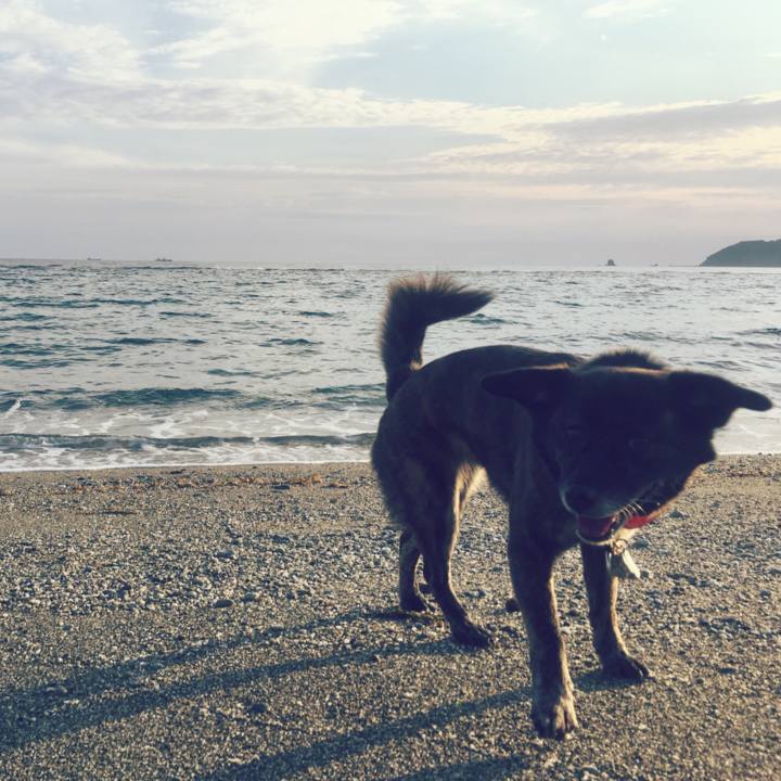 D882ac78 2583 4628 ad99 27bce95c5e60 1527933718485