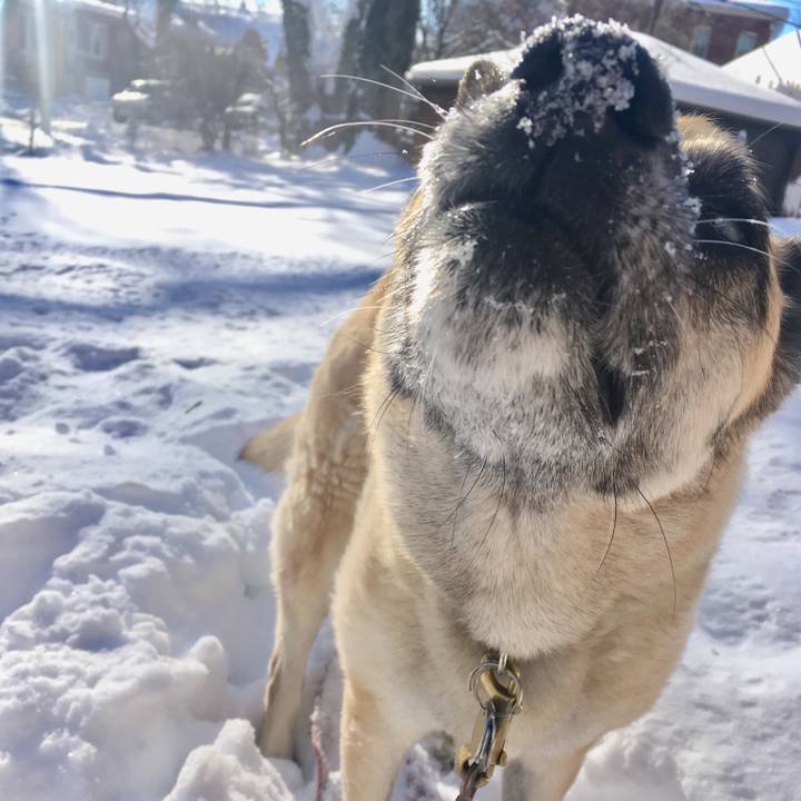 D882c283 4bb9 4bf6 ab86 51f7348c77e4 1519661313195