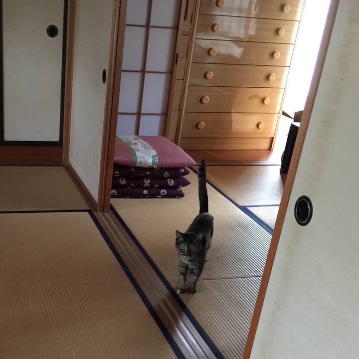 D882d733 49cf 4abc 9ca4 076b40a65b34 1537088209275