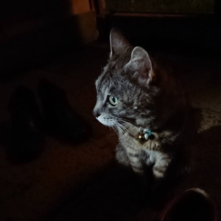 D882d77e 40fd 4537 8d48 4ef2dd274c2a 1563969398434