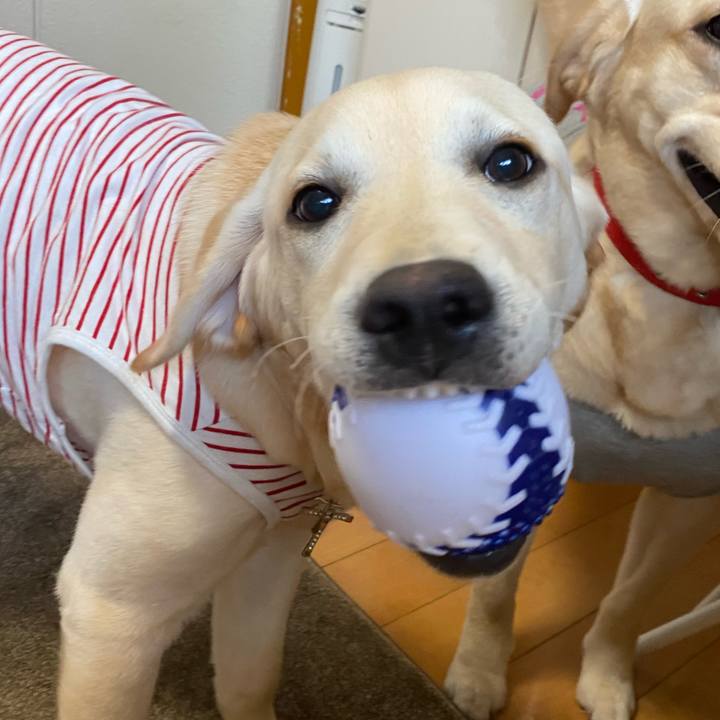 D88309aa 3b7d 4540 8fcb 28fd84031bac 1619858757200