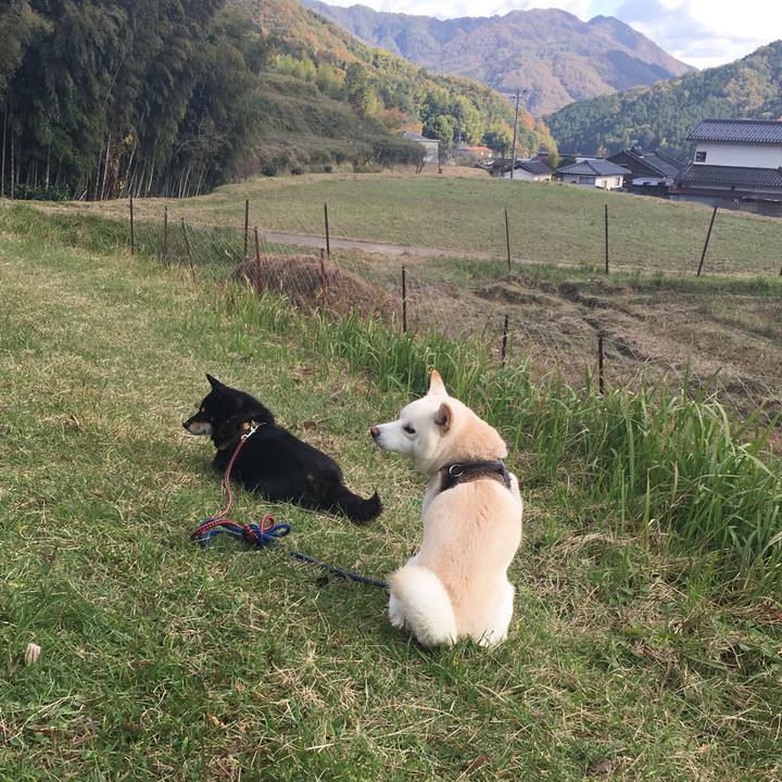 D8833856 7eb0 45de af36 8a6c75380510 1541816398776