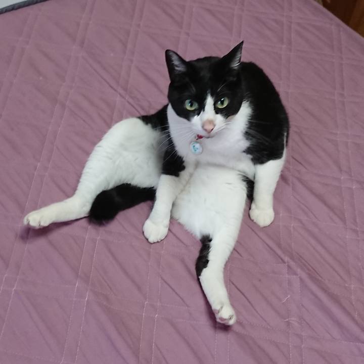 D8837c0a a6d3 4b30 a169 9899f1f544b4 1621035774686