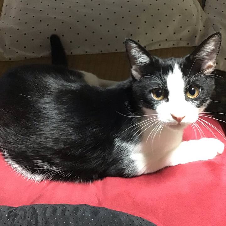 D883bfd1 d489 4083 b377 68e164879d11 1631871035000