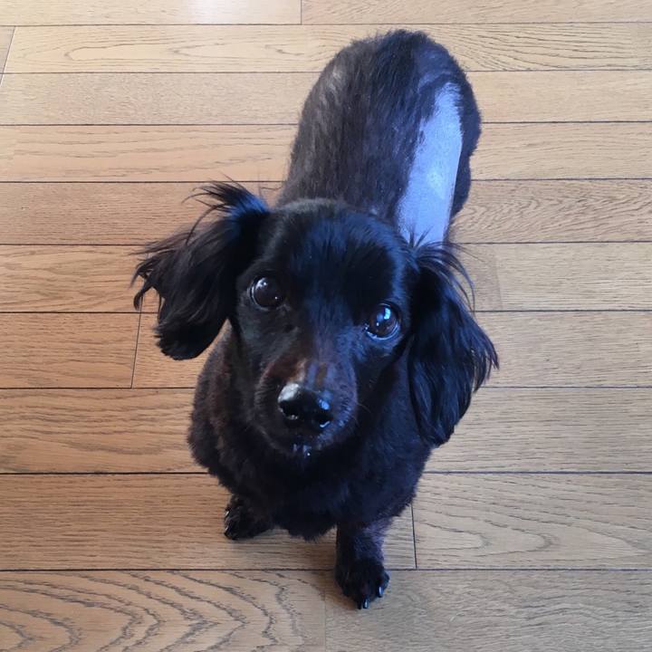 D883cc65 919c 4e42 8cf3 814571dae647 1555279058296