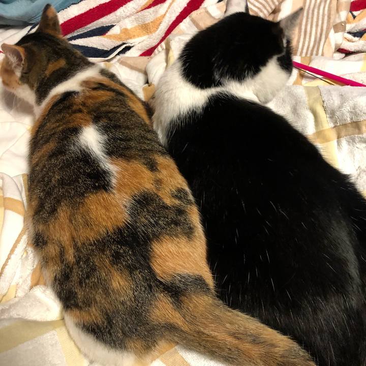 D883d79a 62ac 4dfd a30f 405a45333352 1579141936905