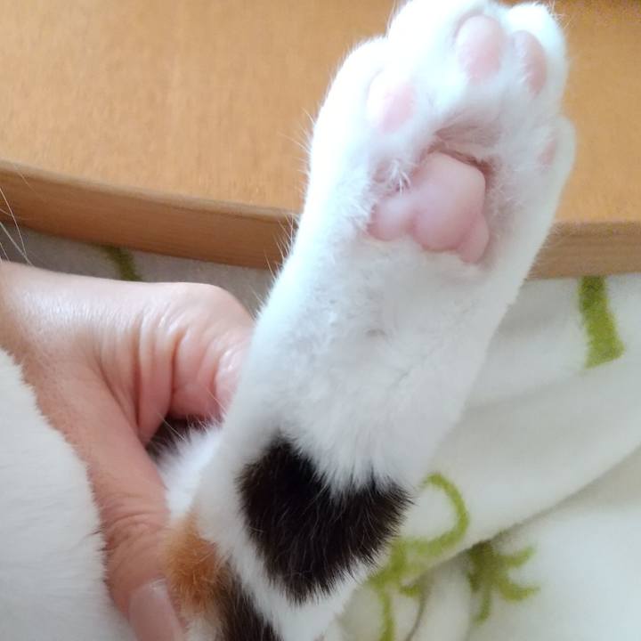 D883ed0a b5a3 4be4 bb45 a9308792aa82 1584229495625