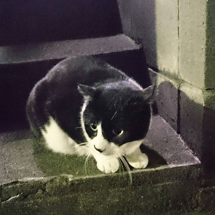 D88420e2 cad8 4e95 9f4e d4b82a8b6278 1523181879900