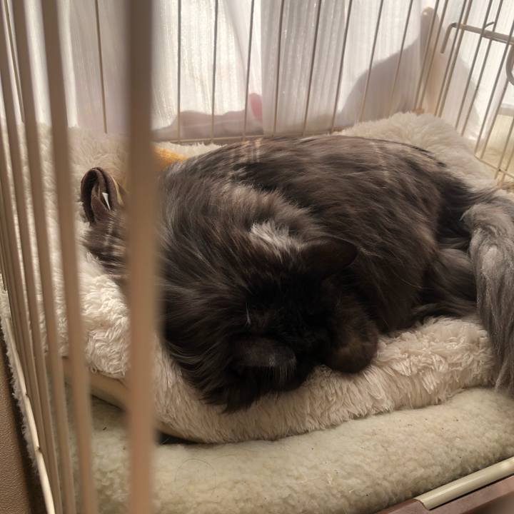 D8842fda c1b1 4882 95cd abe3095dbfb3 1546130717662