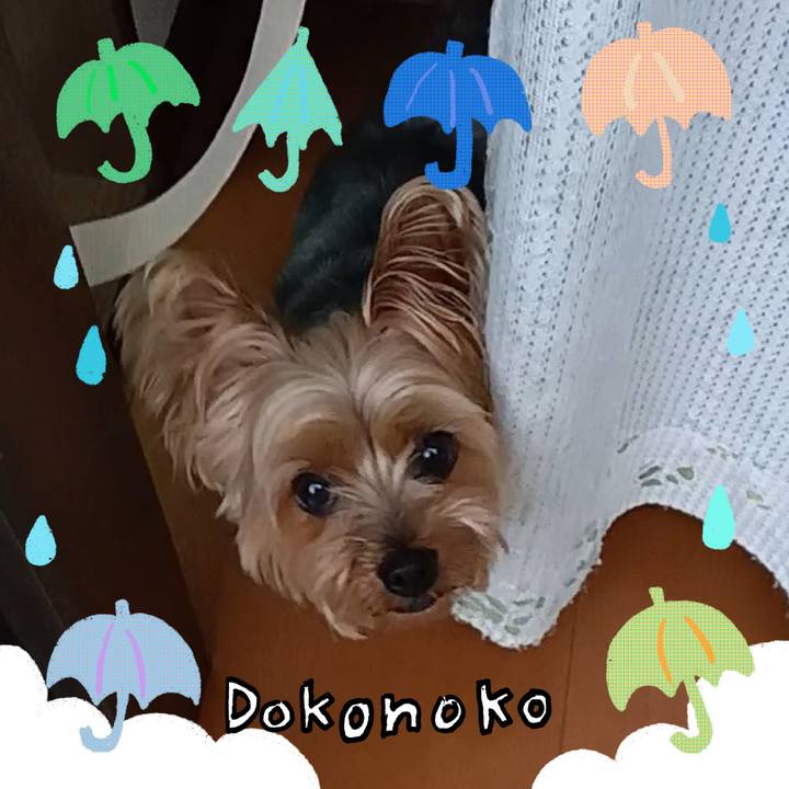 D8844d50 301b 4c66 a399 3adaa575ad8f 1717848357818