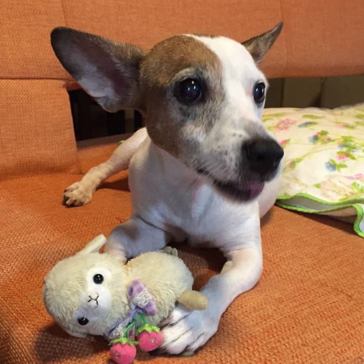 D884662e 23a0 464d 825c b4b626987387 1600594870575