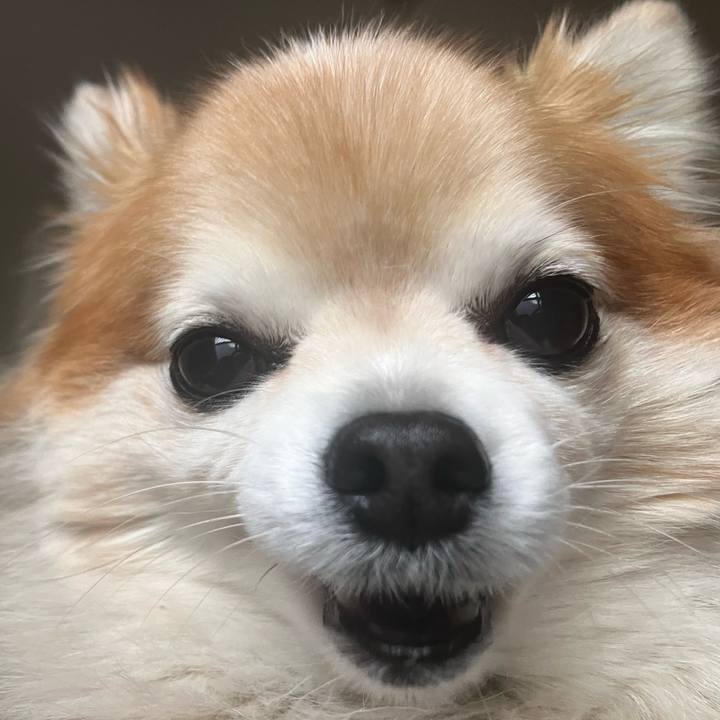 D8847b0b 4072 44a8 b688 1d9e7b2d2e61 1770876821566