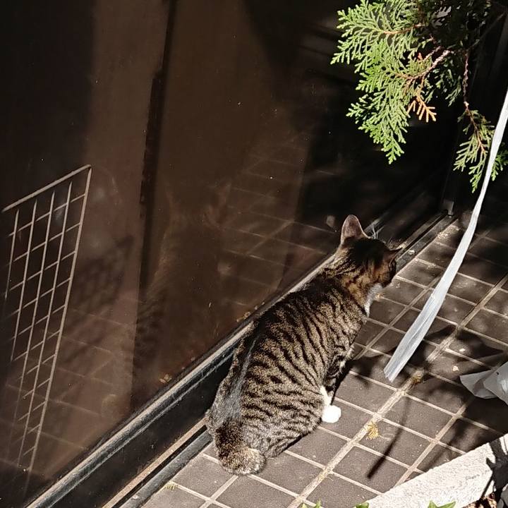 D884a0e0 c858 441d b073 86c17a8e51fd 1605070678949