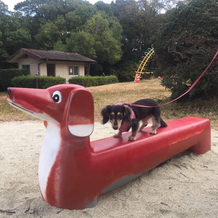 D884abc3 25ef 41d7 b8c8 085f5bd54347 1510611605546