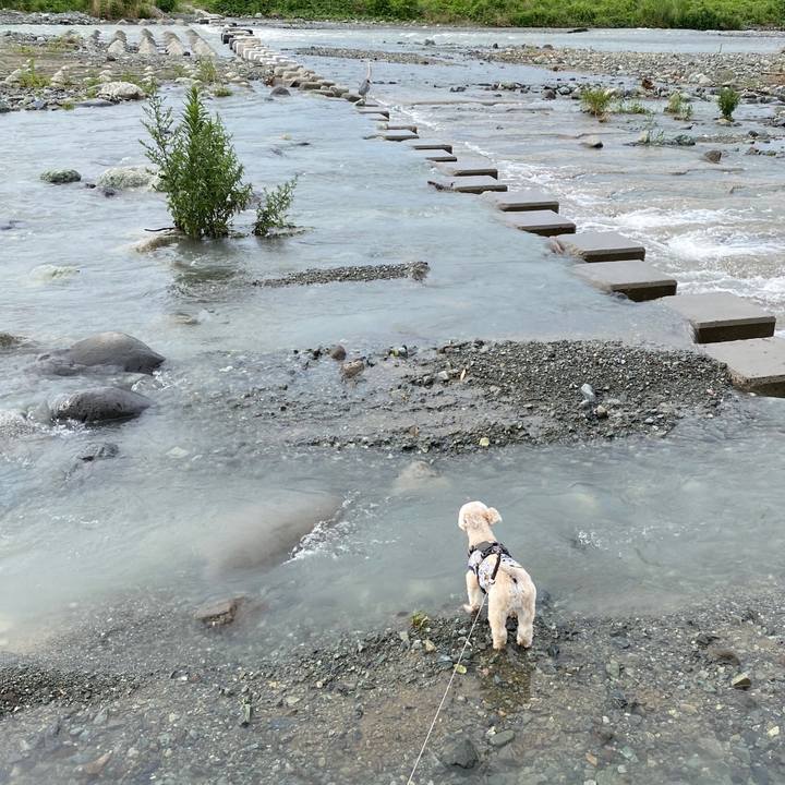 D884e237 5b31 4d72 8c15 7afdb7fcdf86 1593773469226