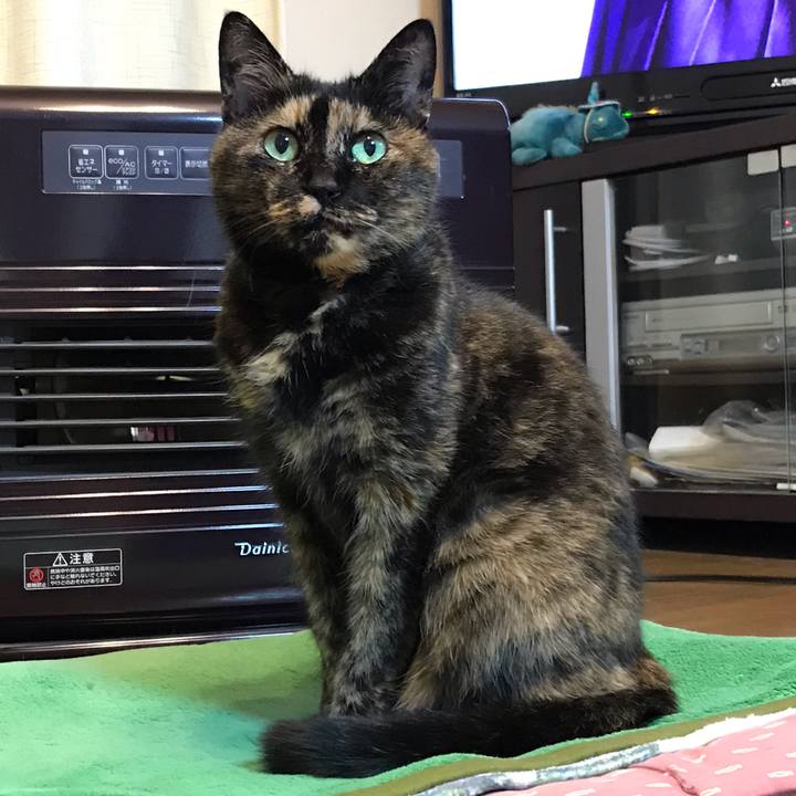 D8851588 f167 4aac be4b 98b59d678a8b 1552650609880