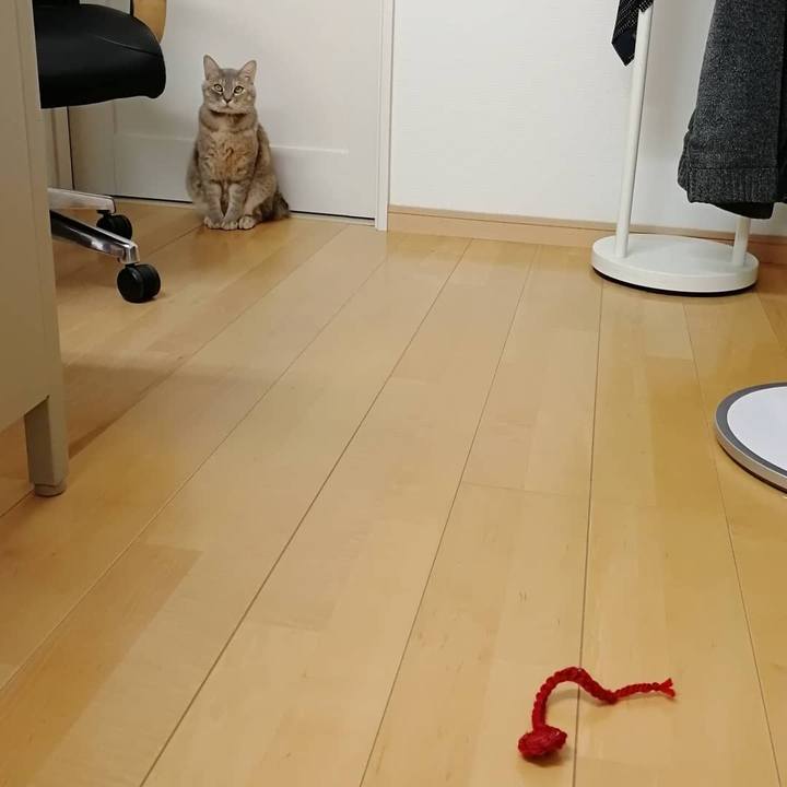 D88522c9 0f88 47df af8d 1f8d080738b0 1550129173913