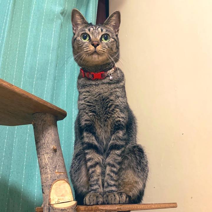 D8853417 bfbf 4c9a aea0 347a4eb61805 1571749281926