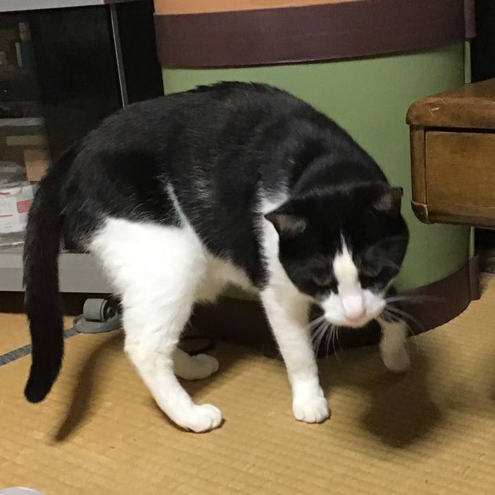 D88569c7 1e8e 47e4 84b9 04669fbe47d7 1686057504241