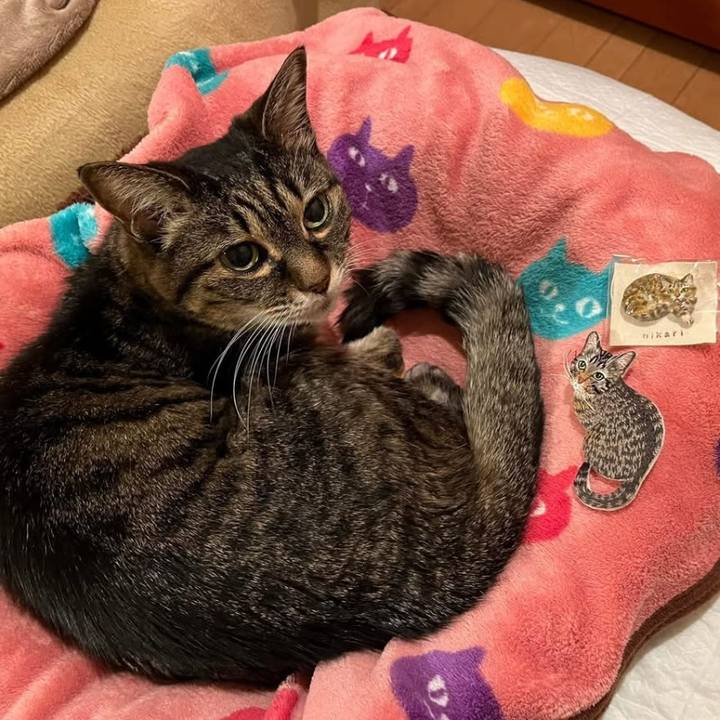 D8857782 c7f7 4225 872a 0fd580ecfab5 1765801065386