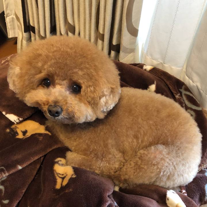 D885cae1 95eb 4676 9de8 8b89785d0fdd 1602847945832