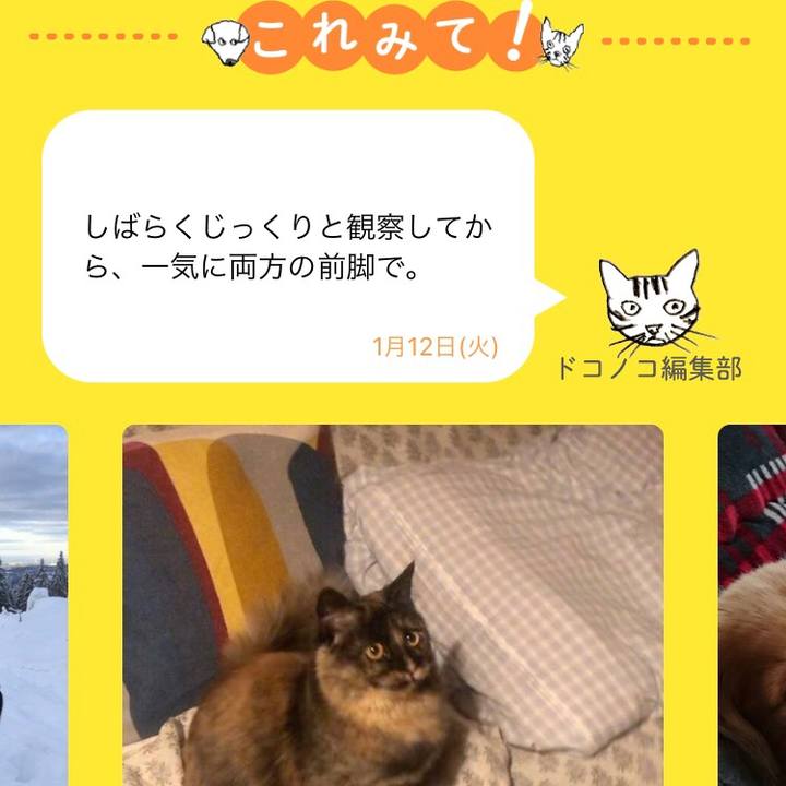 D885cd4e 8f26 4dcf bb4e 840df89e0345 1610455680044