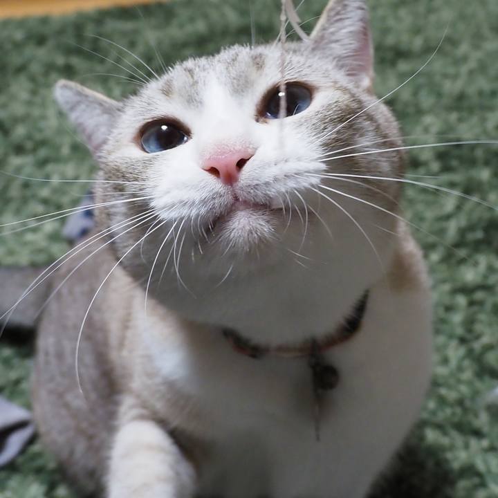 D885d283 e0f8 41e4 88a9 1ebfdc580b6f 1601121159133