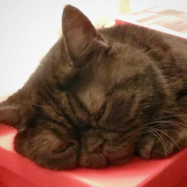 D885eaa0 9829 4ce7 94cf 297a99d5e811 1572836918767