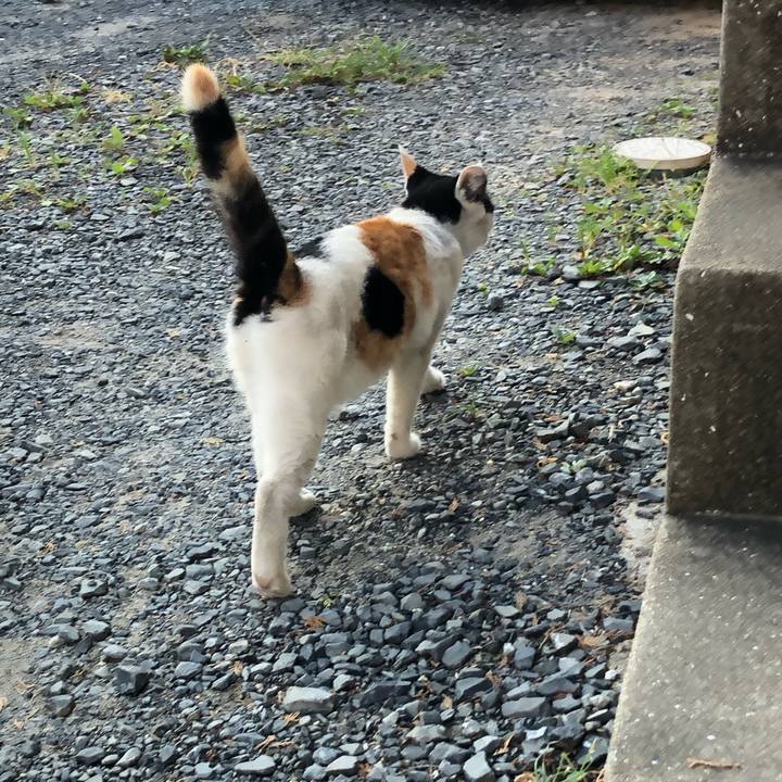 D8860cdd 27bc 4ddb 96f8 bdd446cdb812 1598652642405